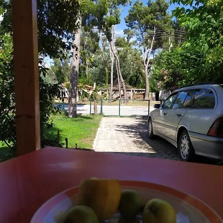 Villa Vila 7