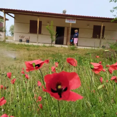 Villa Vila 7